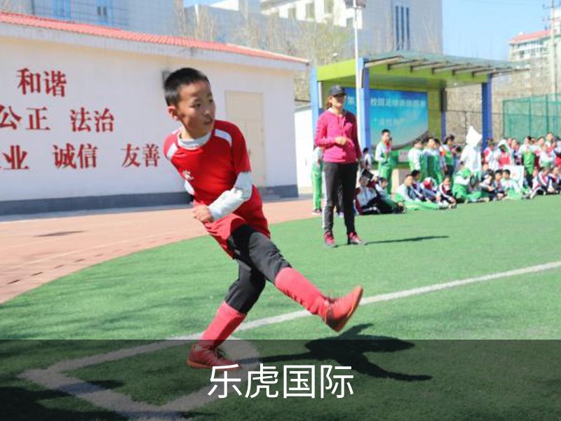 乐虎国际概况